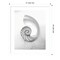 Pearl Nautilus Shell Cut In Half Showing Chambers by Design Pics Danita Delimont Wood Framed Wall Art Print